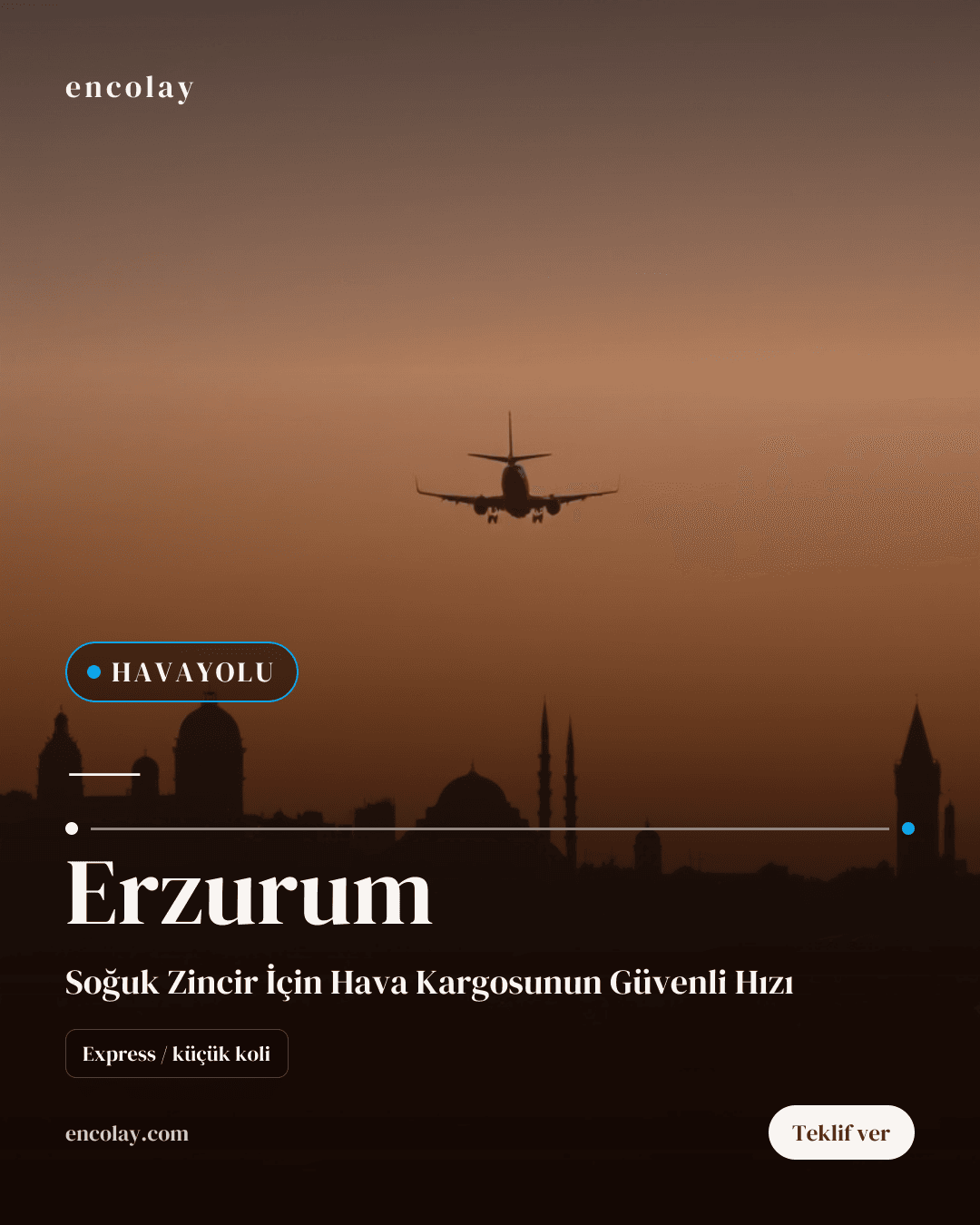 Erzurum havayolu taşıma talebi