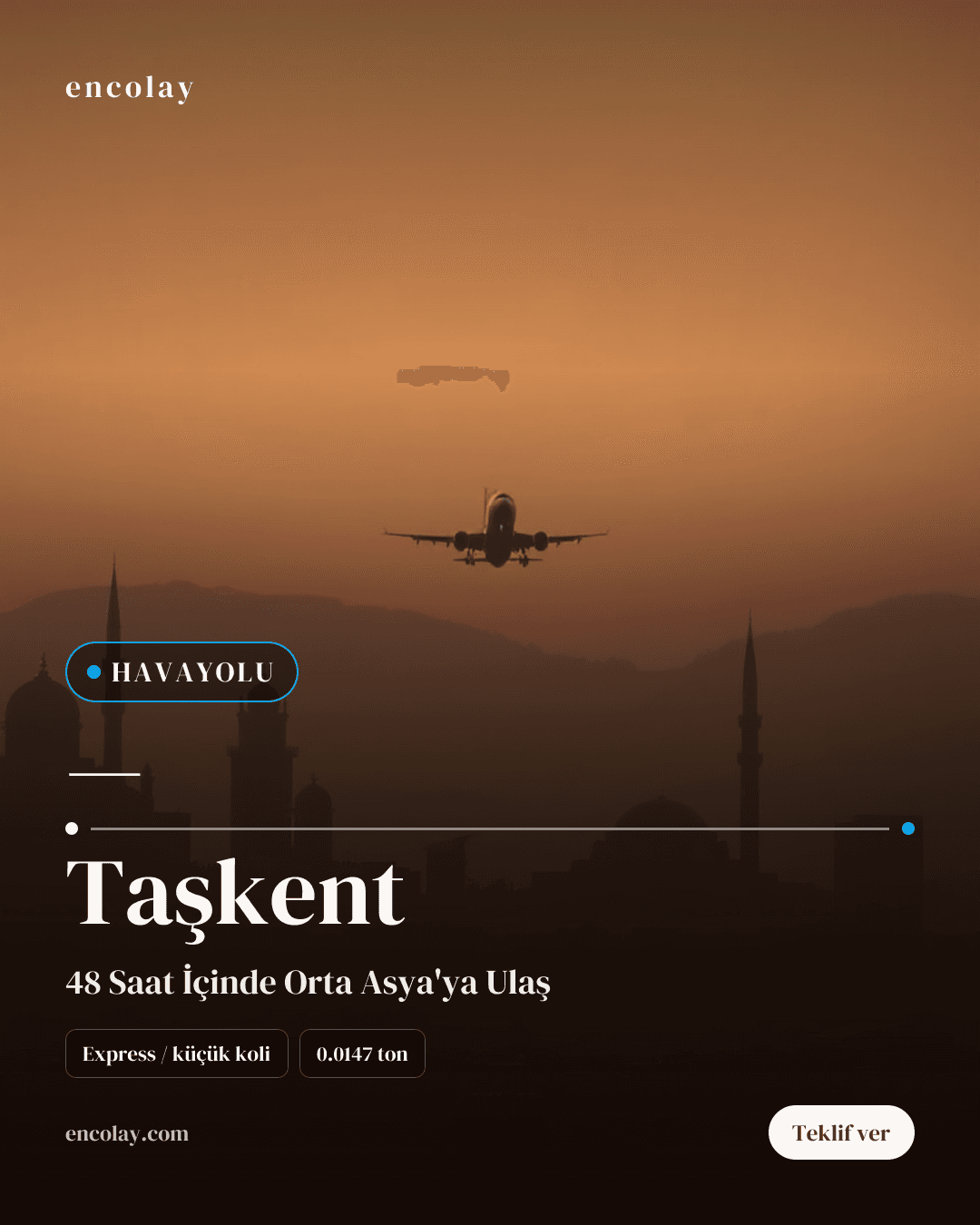 Türkiye-Taşkent arası havayolu koli taşıması