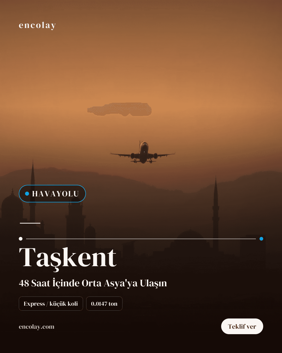 Türkiye-Taşkent arası havayolu koli taşıması