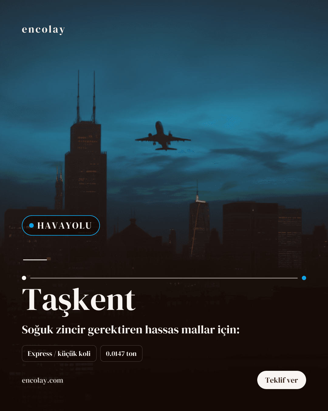Türkiye-Taşkent arası havayolu koli taşıması