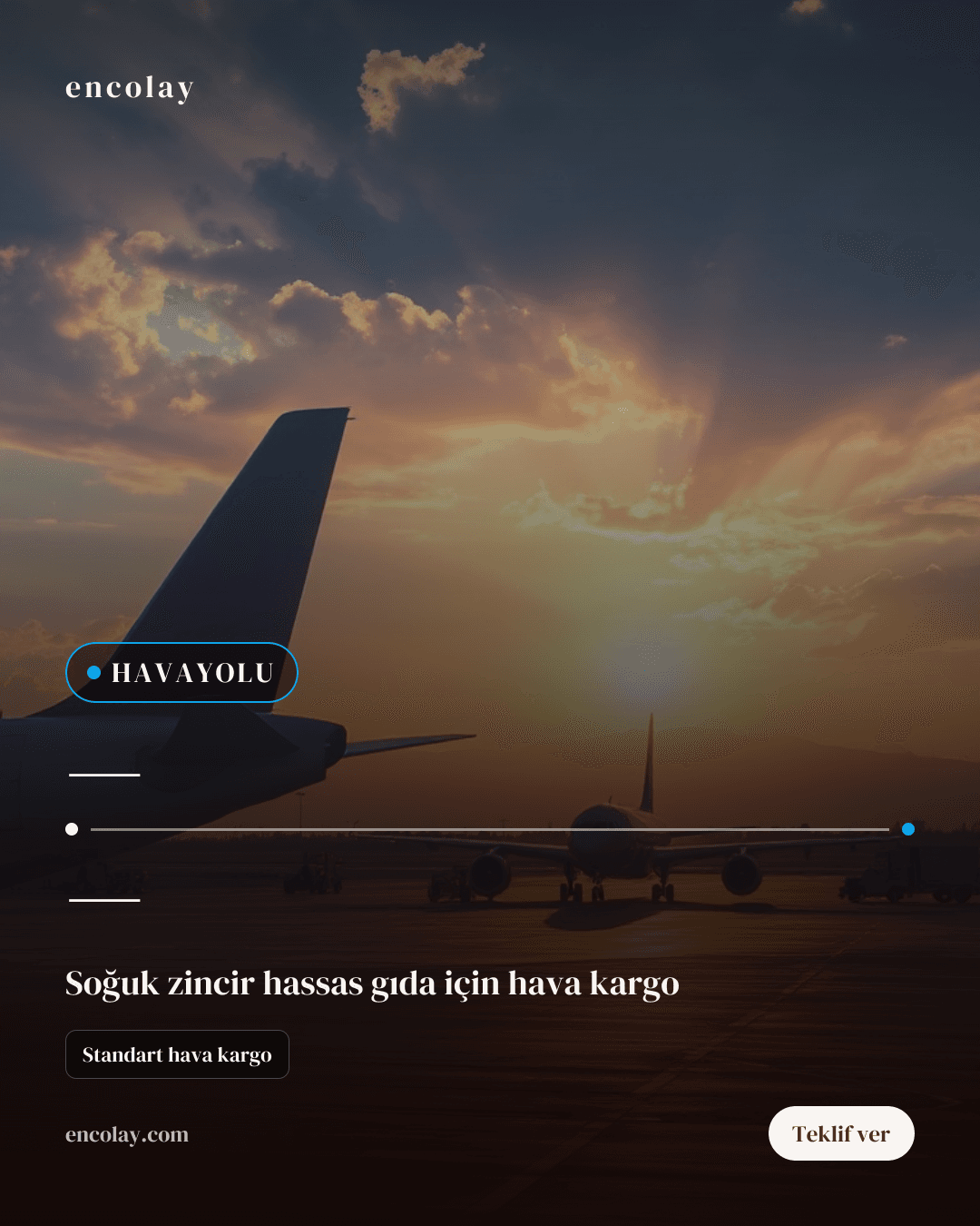 havayolu taşıma talebi