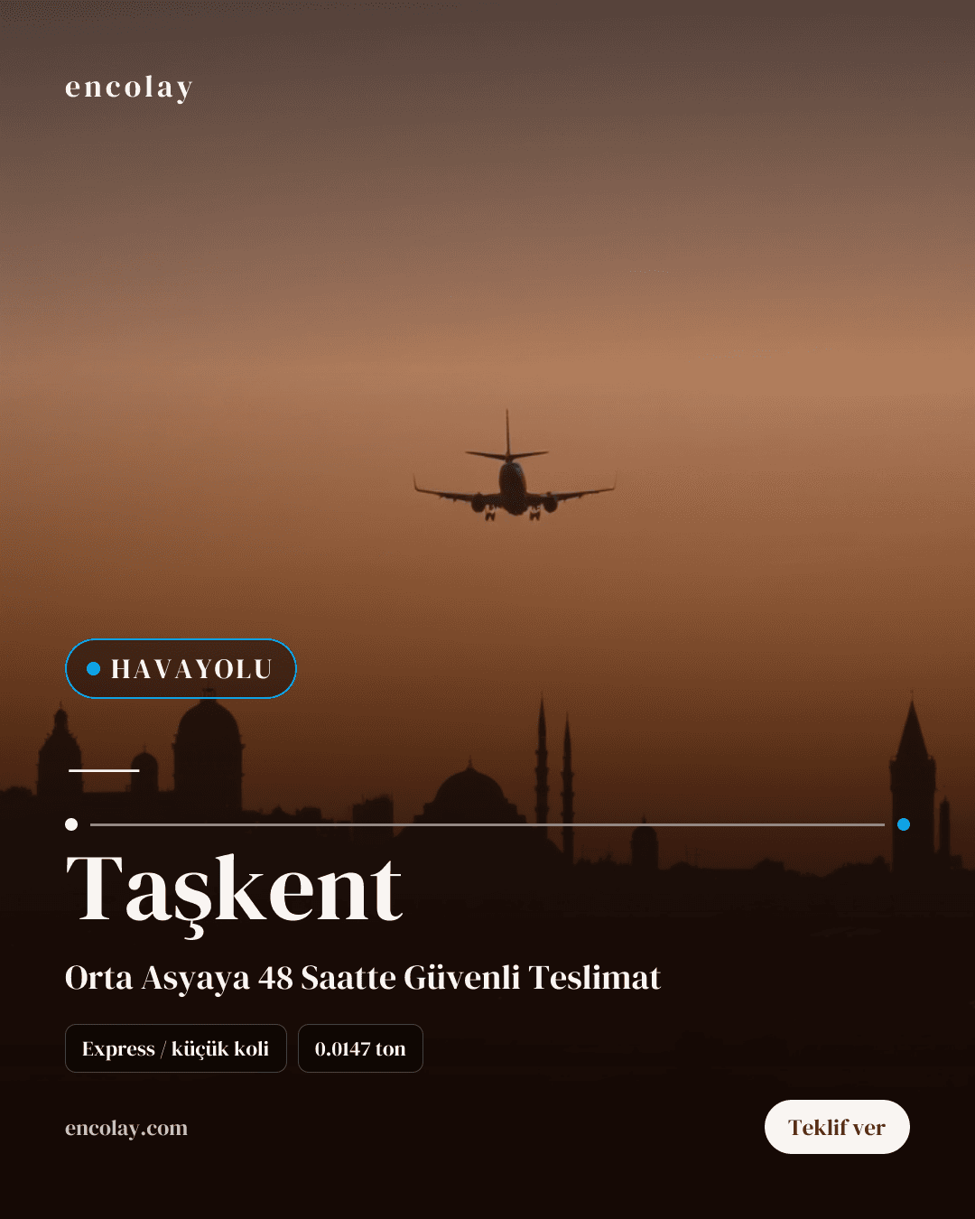 Türkiye-Taşkent arası havayolu koli taşıması